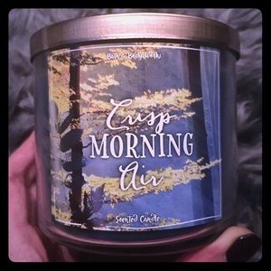 New! Bath & Body Works Crisp Morning Air candle